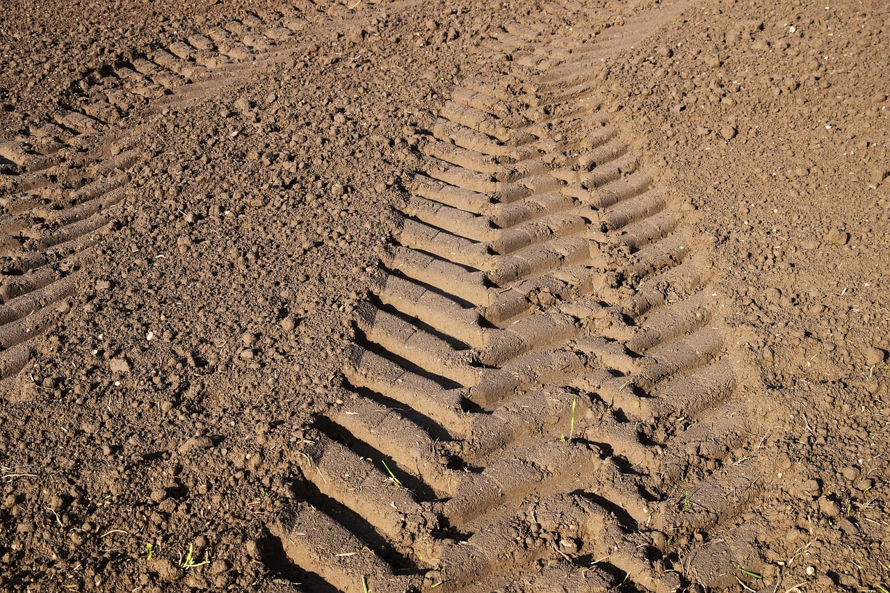track, tractor track, agriculture